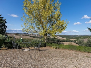 Bauernhof Buonconvento Außenaufnahme 7