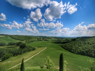 Bauernhof Buonconvento Außenaufnahme 6