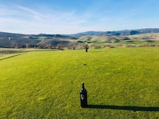 Bauernhof Buonconvento Umgebung 29