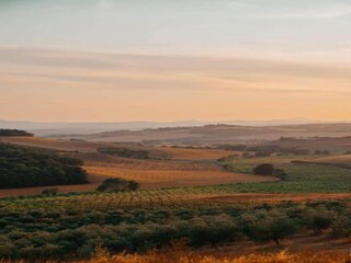 Type de propriété : Ferme Buonconvento Environnement 28