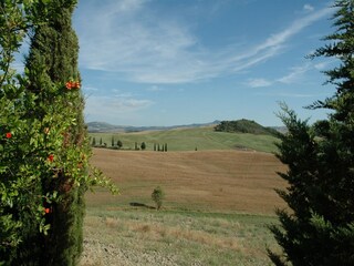 Apartment Chianciano Terme Environment 38