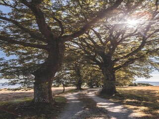 Appartement Chianciano Terme Environnement 31
