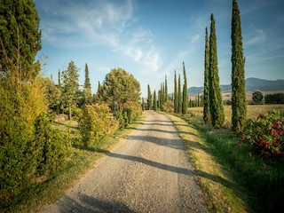 Holiday house Monteriggioni Environment 34