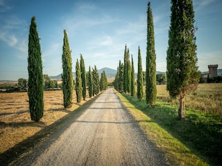 Ferienhaus Monteriggioni Umgebung 33