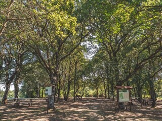 Apartamento Chianciano Terme Entorno 29