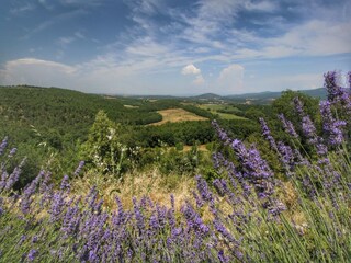 Type de propriété : Ferme Casole d'Elsa Enregistrement extérieur 17