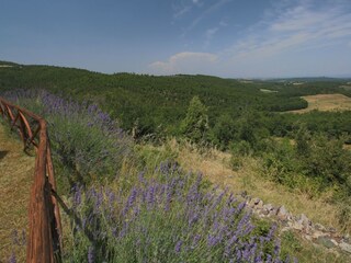 Farmhouse Casole d'Elsa Outdoor Recording 14