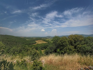 Bauernhof Casole d'Elsa Außenaufnahme 15