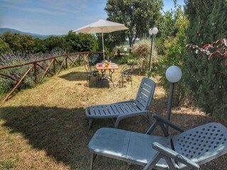 Casa de vacaciones Casole d'Elsa Grabación al aire libre 2