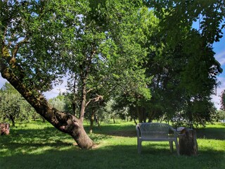 Vakantiehuis Colle di Val d'Elsa Buitenaudio-opname 8