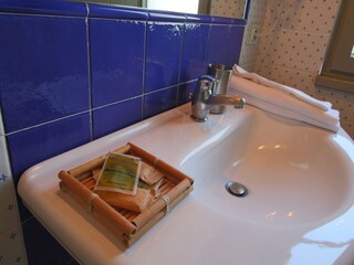 Type de propriété : Ferme San Gimignano Équipement 19