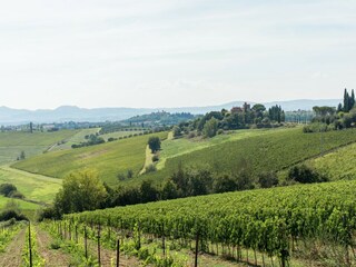 Casa per le vacanze Valiano Ambiente 32