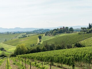 Casa per le vacanze Valiano Ambiente 34