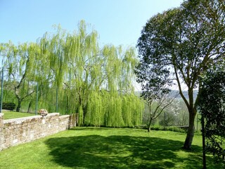 Ferienhaus Trevinano Außenaufnahme 18