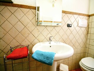 Fattoria Asciano Caratteristiche 35