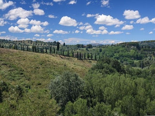 Bauernhof Asciano Umgebung 36