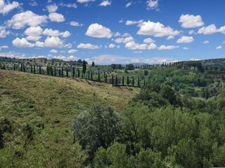 Farmhouse Asciano Environment 35