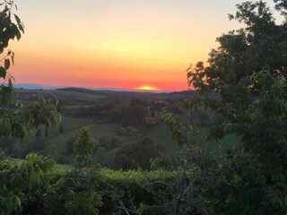Type de propriété : Ferme Montepulciano Environnement 38