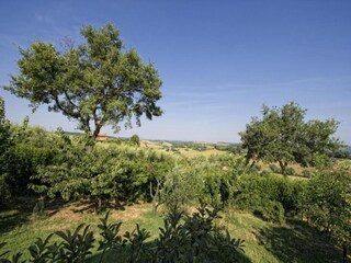 Bauernhof Montepulciano Umgebung 34