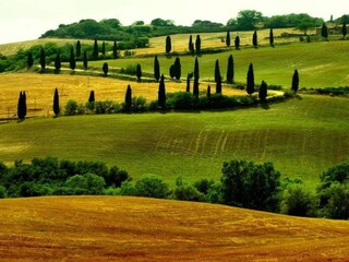 Boerderij Montepulciano Omgeving 38