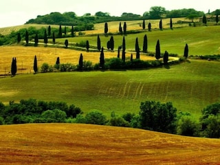 Boerderij Montepulciano Omgeving 39