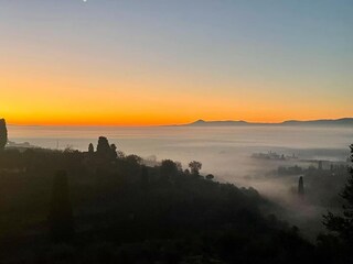 Villa Sinalunga Environment 31