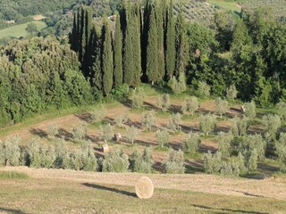 Villa Sinalunga Ambiente 25