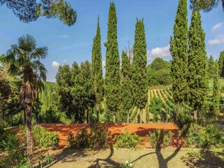 Villa Sinalunga Ambiente 28