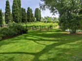 Casa de vacaciones Sinalunga Grabación al aire libre 1