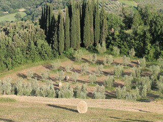 Vakantiehuisje Sinalunga Omgeving 29