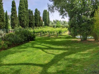Villa Sinalunga Buitenaudio-opname 7