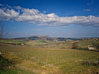 Villa Sinalunga Ambiente 28