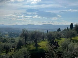 Villa Sinalunga Environnement 26