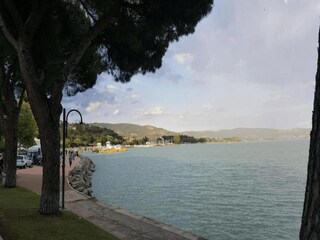 Villa Sinalunga Entorno 28