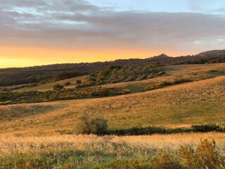 Villa Sinalunga Omgeving 16