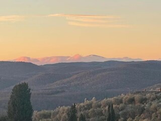 Villa Sinalunga Environnement 25