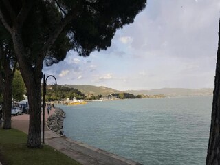 Villa Sinalunga Entorno 27