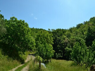 Casa de vacaciones Fivizzano Entorno 35