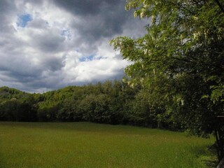 Casa per le vacanze Tresana Ambiente 25