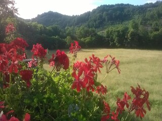 Casa per le vacanze Tresana Ambiente 22