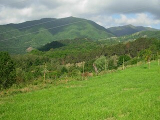 Casa per le vacanze Tresana Registrazione all'aperto 16