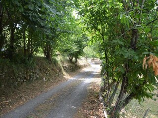 Casa per le vacanze Tresana Ambiente 33