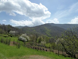 Casa vacanze Bagni di Lucca Registrazione all'aperto 3