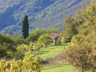 Vakantiehuisje Bagni di Lucca Buitenaudio-opname 5