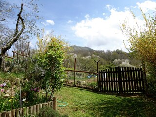 Casa vacanze Bagni di Lucca Registrazione all'aperto 9