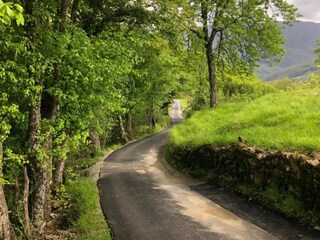 Bauernhof Bagni di Lucca Umgebung 31