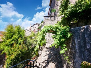 Type de propriété : Ferme Bagni di Lucca Équipement 21