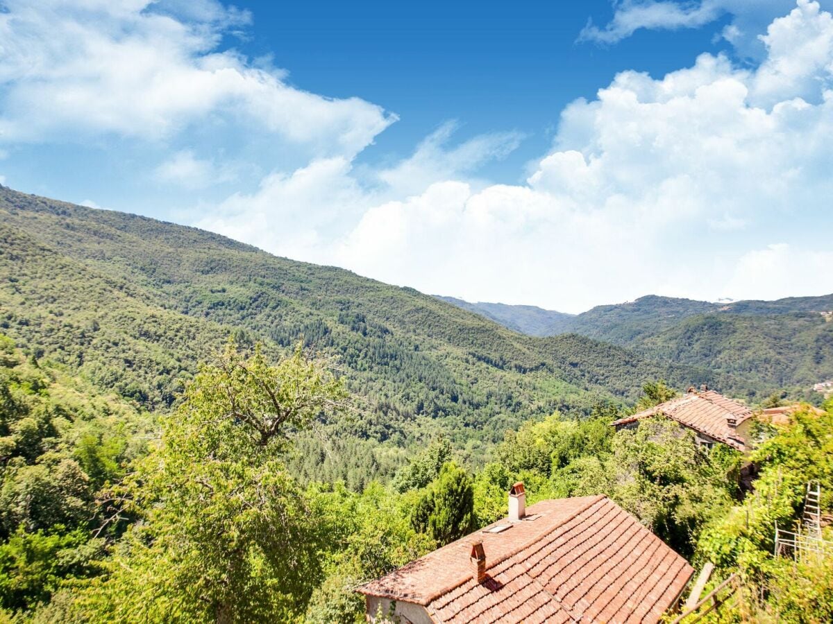 Type de propriété : Ferme Bagni di Lucca Enregistrement extérieur 1