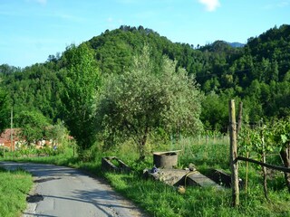 Holiday house Molazzana Environment 36