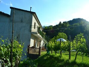 Ferienhaus Einladende Ferienwohnung in Molazzana mit Pool - Molazzana - image1